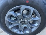 New 2025 Ford Maverick XLT w/ Equipment Group 302A image 4