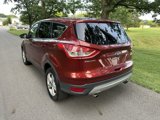 Used 2014 Ford Escape SE image 6
