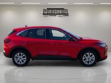 Used 2024 Ford Escape Active image 5