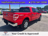Used 2013 Ford F150 XLT w/ Luxury Equipment Group image 6