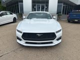 Used 2024 Ford Mustang Coupe image 2