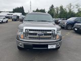 Used 2013 Ford F150 XLT image 2