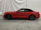 Used 2020 Ford Mustang Premium image 3