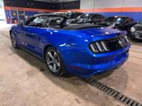 Used 2017 Ford Mustang Convertible w/ Equipment Group 051A image 5