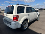 Used 2011 Ford Escape XLT w/ 202A Rapid Spec Order Code image 5