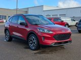 Used 2020 Ford Escape SE Sport image 3