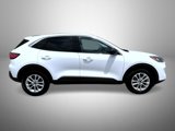 Used 2022 Ford Escape SE w/ Convenience Package image 4