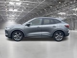 Used 2024 Ford Escape ST-Line w/ Tech Pack #1 image 5