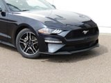 Used 2021 Ford Mustang Coupe w/ Equipment Group 101A image 5