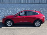 Used 2020 Ford Escape SE image 1