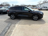 Used 2024 Ford Escape ST-Line image 2
