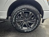 Certified 2021 Ford F150 XLT w/ Equipment Group 302A High image 4