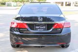 Used 2013 Honda Accord EX-L image 6