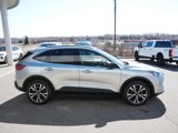 Certified 2022 Ford Escape SE w/ SE Sport Appearance Package image 4