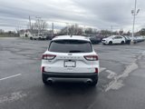 Used 2022 Ford Escape SE w/ Convenience Package image 4