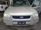 Used 2001 Ford Escape XLT image 5