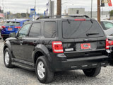 Used 2011 Ford Escape XLT w/ 202A Rapid Spec Order Code image 6