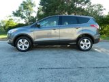 Used 2014 Ford Escape SE image 5