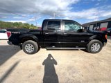 Used 2012 Ford F150 Lariat w/ Lariat Chrome Pkg image 3