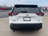 Used 2019 Toyota RAV4 XLE Premium image 4