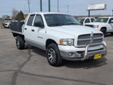 Used 2002 Dodge Ram 1500 Truck 4x4 Quad Cab image 2
