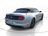 Used 2019 Ford Mustang Premium image 5