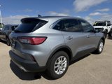 Used 2022 Ford Escape SE w/ Cold Weather Package image 4