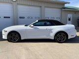 Used 2022 Ford Mustang Premium image 5