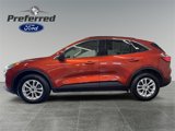 Used 2020 Ford Escape SE image 2