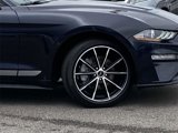 Used 2021 Ford Mustang Coupe w/ Equipment Group 101A image 3