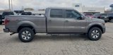 Used 2013 Ford F150 FX4 w/ Luxury Equipment Group image 2