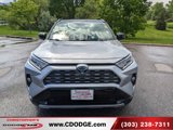 Used 2019 Toyota RAV4 XSE image 3