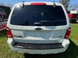 Used 2011 Ford Escape XLT w/ Cargo Pkg image 6