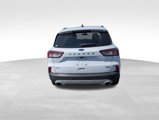 Used 2020 Ford Escape SEL image 5