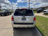 Used 2010 Ford Escape Limited image 4