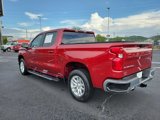 Used 2020 Chevrolet Silverado 1500 LT w/ All-Star Edition image 5