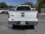Used 2011 Ford F150 XLT w/ XLT Chrome Pkg image 4
