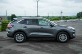 Used 2022 Ford Escape SE w/ Convenience Package image 4