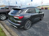 Used 2020 Ford Escape SEL image 2