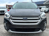 Used 2019 Ford Escape SEL image 4