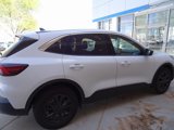 Used 2024 Ford Escape Active w/ Tech Pack #1 image 4