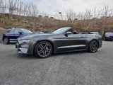 Used 2019 Ford Mustang Premium image 6