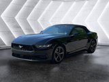 Used 2024 Ford Mustang Premium image 2