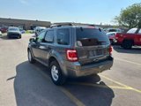 Used 2010 Ford Escape XLT image 5