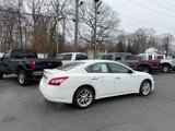 Used 2009 Nissan Maxima 3.5 SV image 5