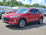 Used 2022 Ford Escape SEL image 3