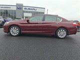 Used 2015 Honda Accord EX-L image 4