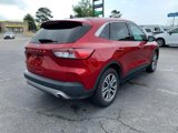 Used 2022 Ford Escape SEL image 4