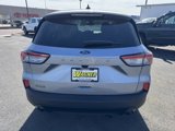 Used 2022 Ford Escape SE w/ SE Sport Appearance Package image 4