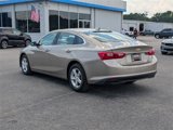 Used 2024 Chevrolet Malibu LT image 5